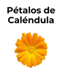 Sedante digestivo | PÉTALOS DE CALÉNDULA