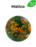Cicatrizante y depurativo | MATICO | 10 % dcto Agosto