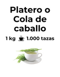 Diurético y desintoxicante | PLATERO O COLA DE CABALLO