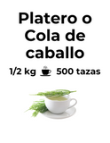 Diurético y desintoxicante | PLATERO O COLA DE CABALLO