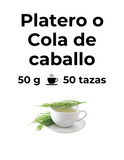 Diurético y desintoxicante | PLATERO O COLA DE CABALLO
