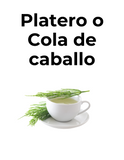 Diurético y desintoxicante | PLATERO O COLA DE CABALLO