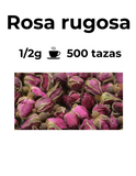 Antioxidante y relajante | ROSA RUGOSA