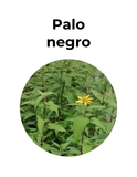 Antiinflamatorio y depurador hepático | PALO NEGRO