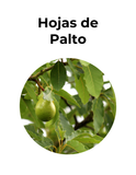 Combate fatiga e insomnio | HOJAS DE PALTO