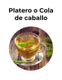 Diurético y desintoxicante | PLATERO O COLA DE CABALLO