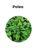 Elimina gases y expectorante | POLEO