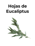 ALIVIA AFECCIONES RESPIRATORIAS - HOJAS DE EUCALIPTUS - convenio