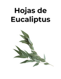 ALIVIA AFECCIONES RESPIRATORIAS - HOJAS DE EUCALIPTUS - convenio