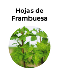 SALUD FEMENINA - HOJAS DE FRAMBUESA