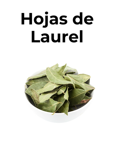 HOJAS DE LAUREL