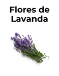 FLORES DE LAVANDA