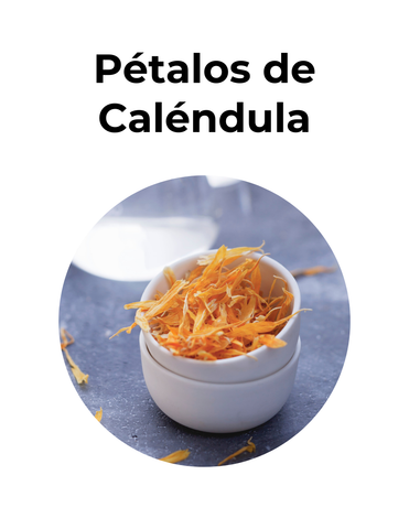 Sedante digestivo | PÉTALOS DE CALÉNDULA | convenio