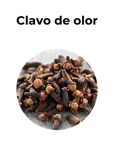 ANTIINFLAMATORIO Y DIGESTIVO - CLAVO DE OLOR