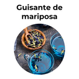 Flor de guisante de mariposa para infusión natural, conocida como butterfly pea tea, que produce una bebida azul rica en antioxidantes.