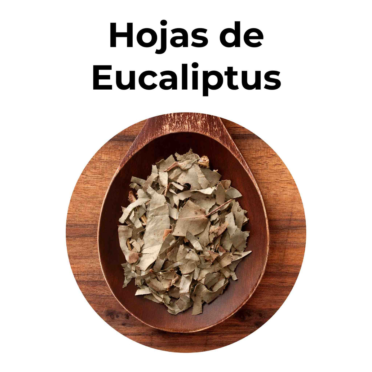 Alivia afecciones respiratorias | HOJAS DE EUCALIPTUS