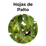 Hojas de palto utilizadas en infusión herbal natural, conocidas en la herbolaria tradicional por sus propiedades depurativas y de bienestar.