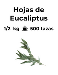 Las hojas de Eucaliptus tienen efectos expectorantes por lo que ayudan a aflojar la mucosidad. Además, tiene efectos descongestionantes ayudando a aliviar la congestión nasal.