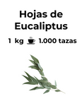 Las hojas de Eucaliptus tienen efectos expectorantes por lo que ayudan a aflojar la mucosidad. Además, tiene efectos descongestionantes ayudando a aliviar la congestión nasal.