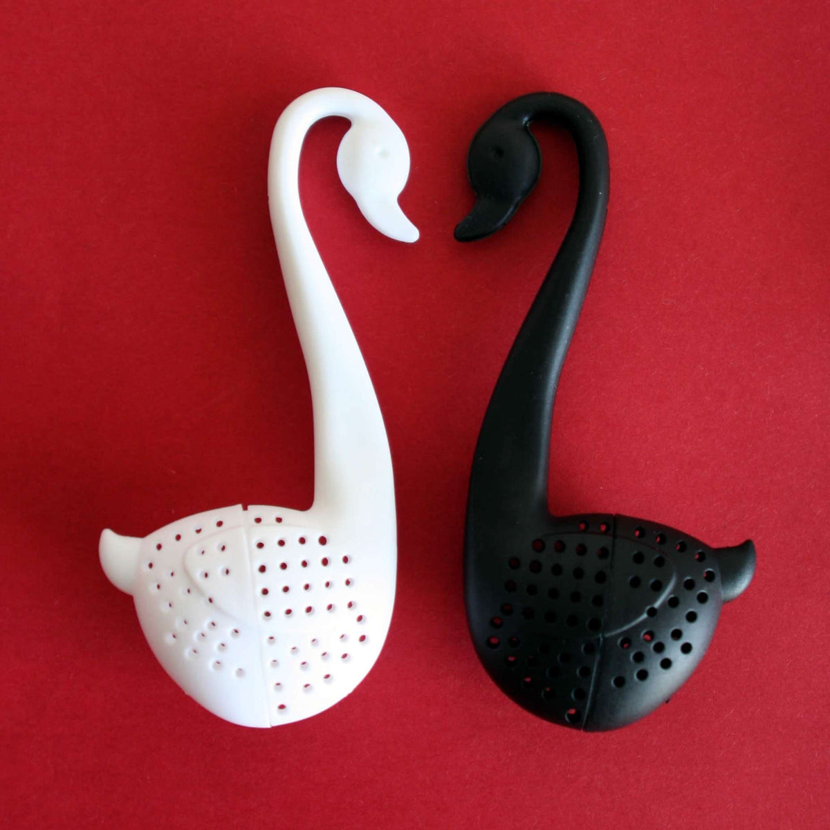 Infusor cisne