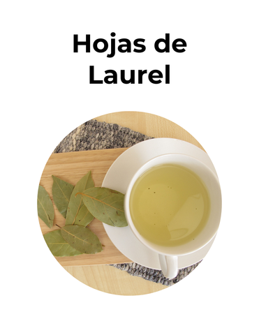 ANTIINFLAMATORIO Y DIGESTIVO - HOJAS DE LAUREL