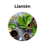 Hojas de llantén utilizadas para preparar infusión natural, planta medicinal tradicional conocida por sus propiedades digestivas y respiratorias.