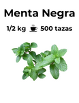 Menta negra, una hierba o planta medicinal con beneficios para la salud, como propiedades calmantes y relajantes