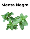 Menta negra, una hierba o planta medicinal con beneficios para la salud, como propiedades calmantes y relajantes