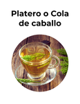 DIURÉTICO Y DESINTOXICANTE - PLATERO O COLA DE CABALLO