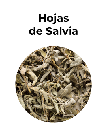 Calmante y digestivo | HOJAS DE SALVIA | convenio