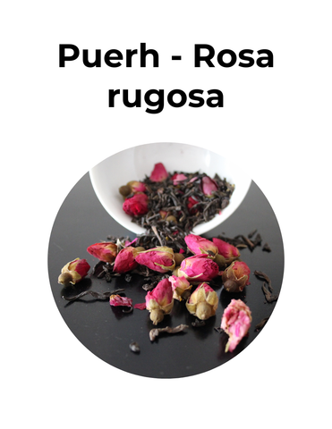 Pérdida de peso y relajante | PUERH ROSA RUGOSA | convenio