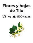 Tilo o Tilia es una planta que sus flores y hojas tienen propiedades relajantes, sedantes, antiinflamatorio y sudorífico.